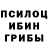 Псилоцибиновые грибы Psilocybine cubensis MadonaLita