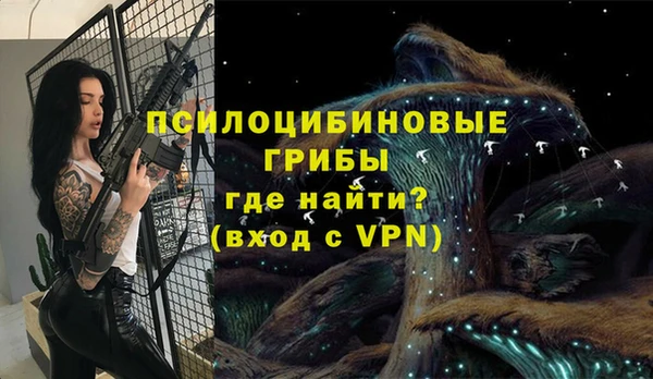 дурь Балахна